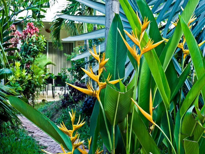 Battambang Resort Exterior foto